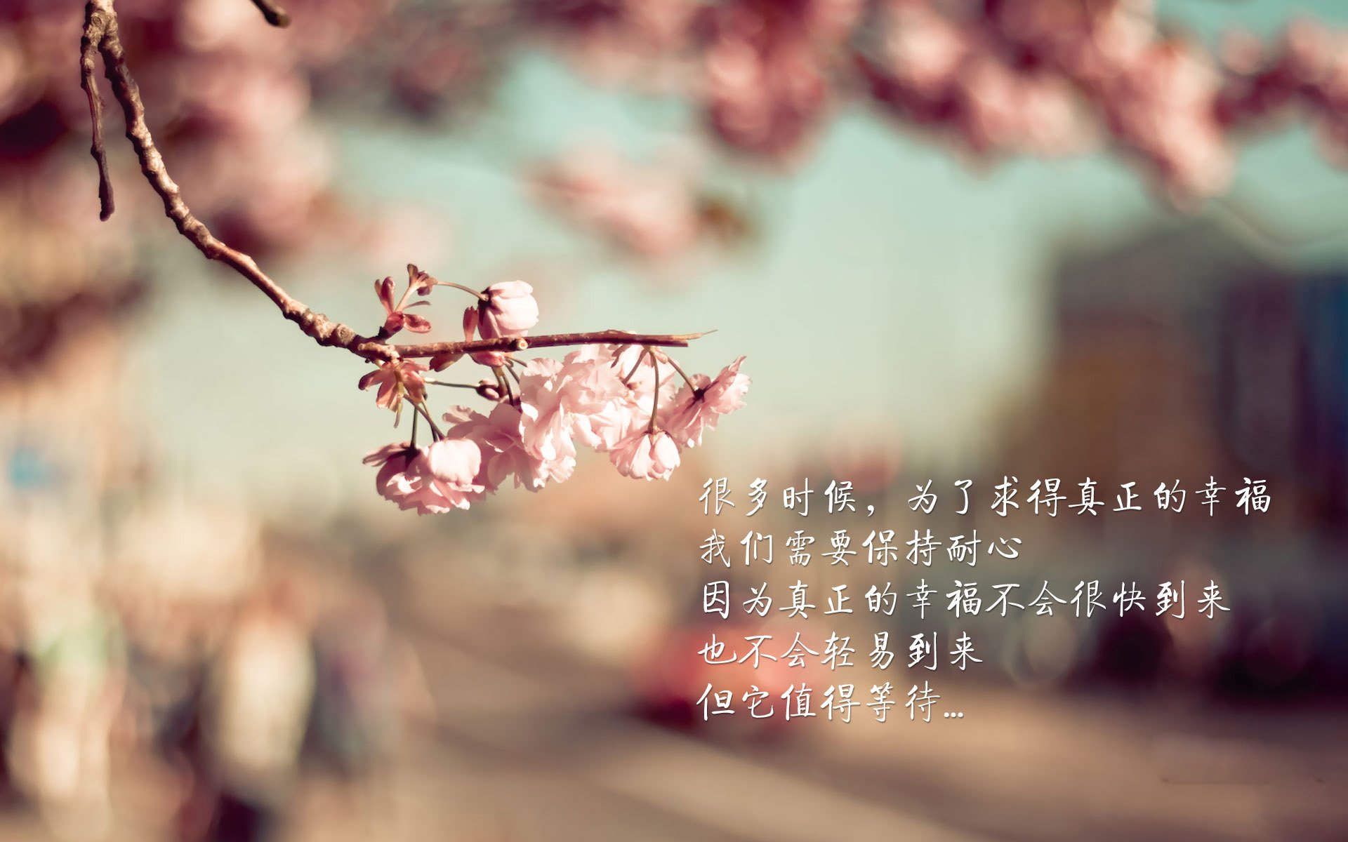 电竞社区活跃度高，粉丝互动频繁，电竞游戏社区