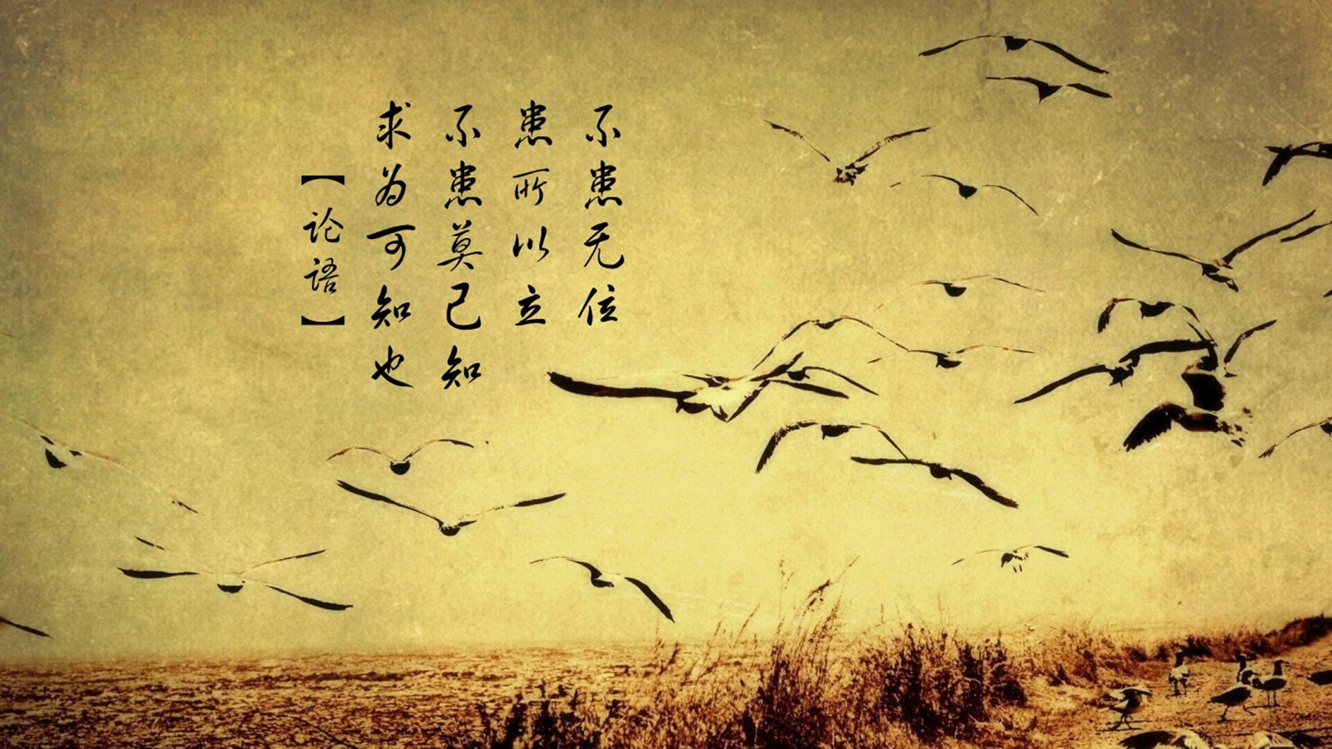 哥伦比亚马术协会建立马匹基因数据库，促进马匹选育与训练。，哥伦比亚歌手马鲁玛