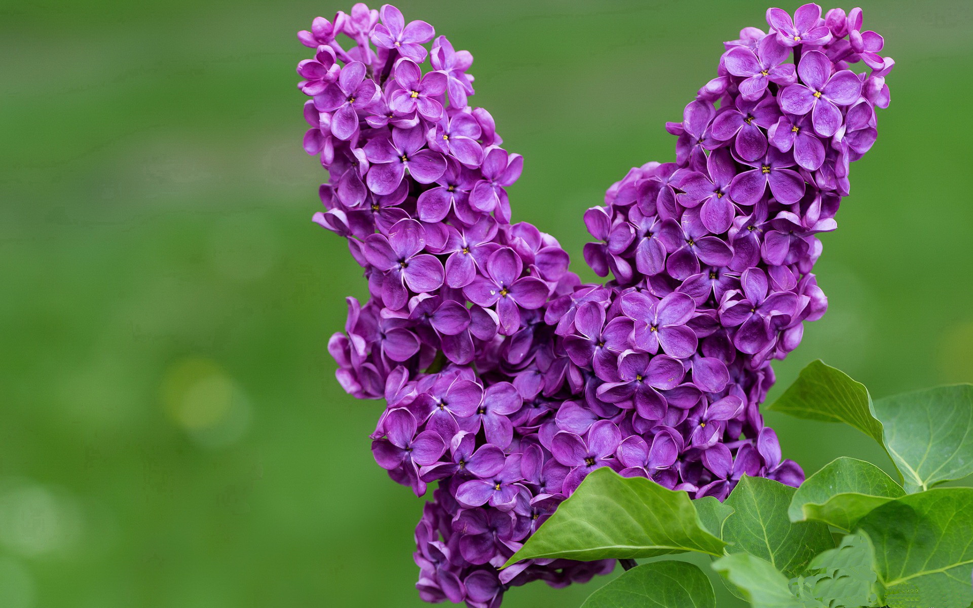 电竞职业化进程中的教育培训体系创新探索,电竞行业培训