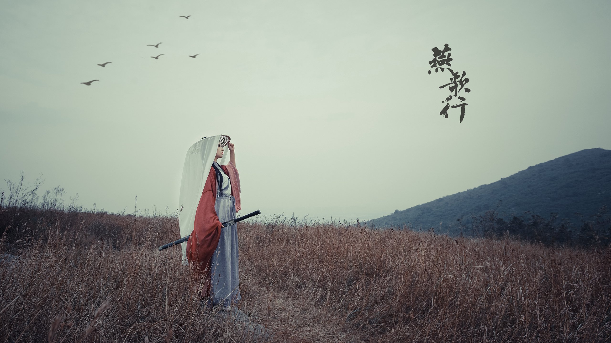 印度队未来发展：打破国内外乒乓壁垒，迈向世界舞台，印度乒乓球联赛