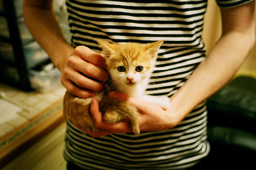 绿色环保场馆建设步伐加快，打造未来绿色足球新时代，绿色环保展览