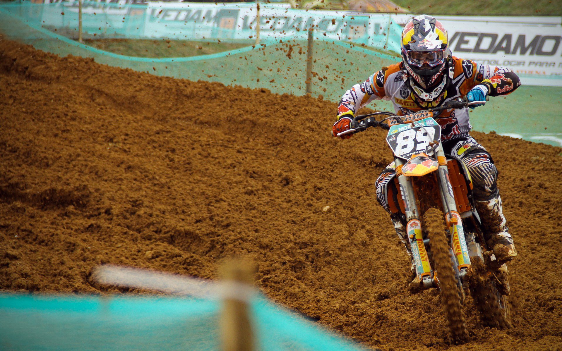 _新纪录诞生:最年轻冠军或将问世_,最年轻的冠军