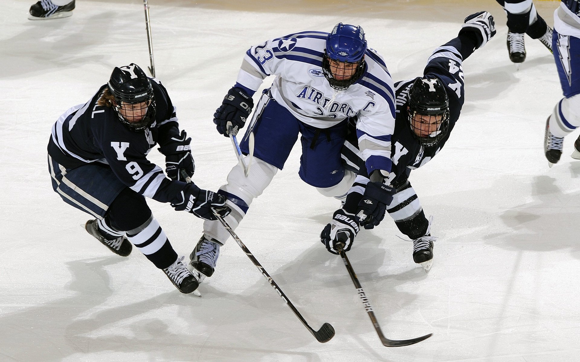 “雪域勇者：冰雪赛段中的生死较量”，雪域兵王 百科